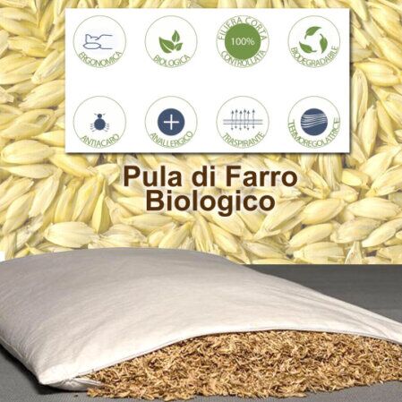guanciali farro